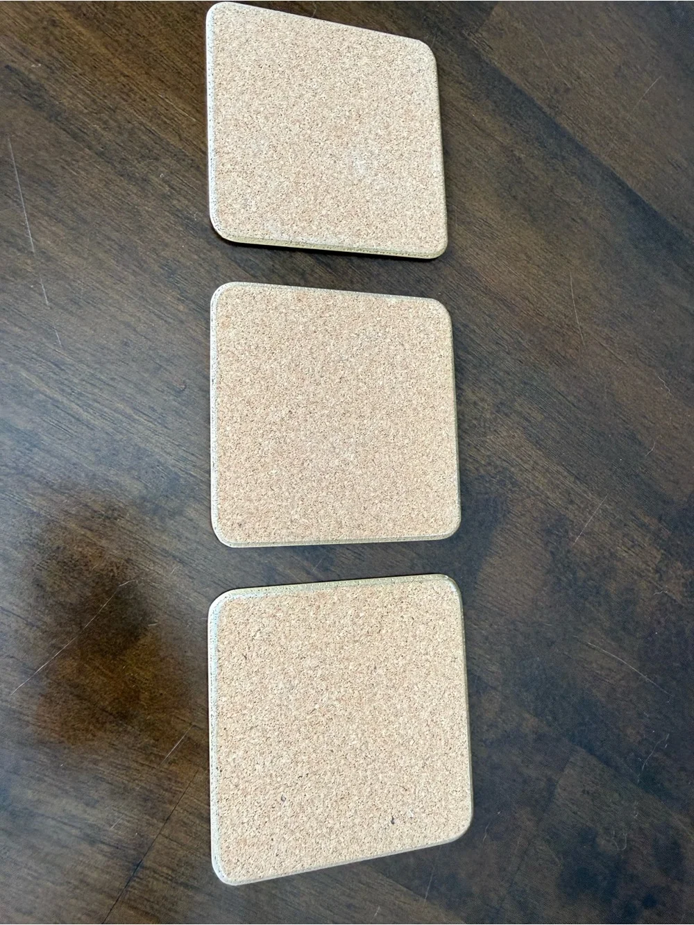 Vintage Bird Cork Back Coaster Set of 3 Cottagecore Nature Decor